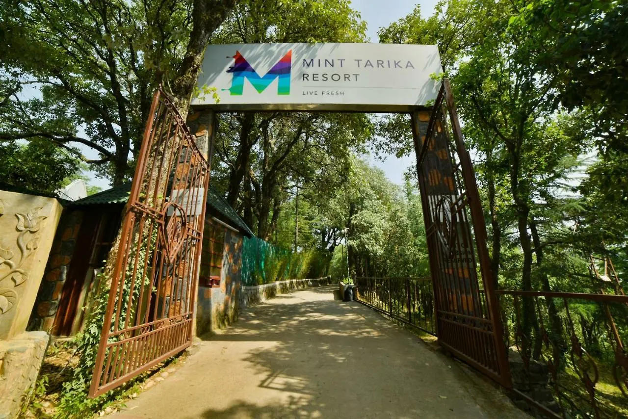 Mint Tarika Resort Chail India